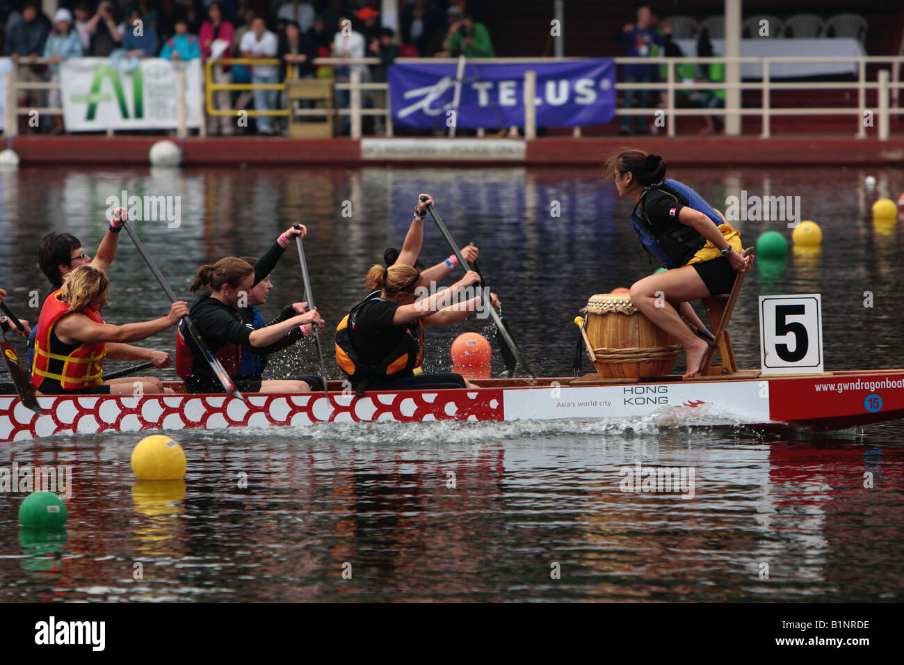 20. Telus Toronto international Dragon Boat Race festival Stockfoto