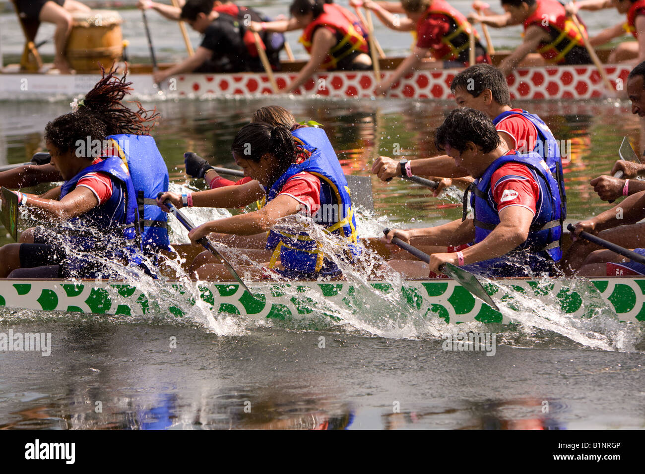 20. Telus Toronto international Dragon Boat Race festival Stockfoto