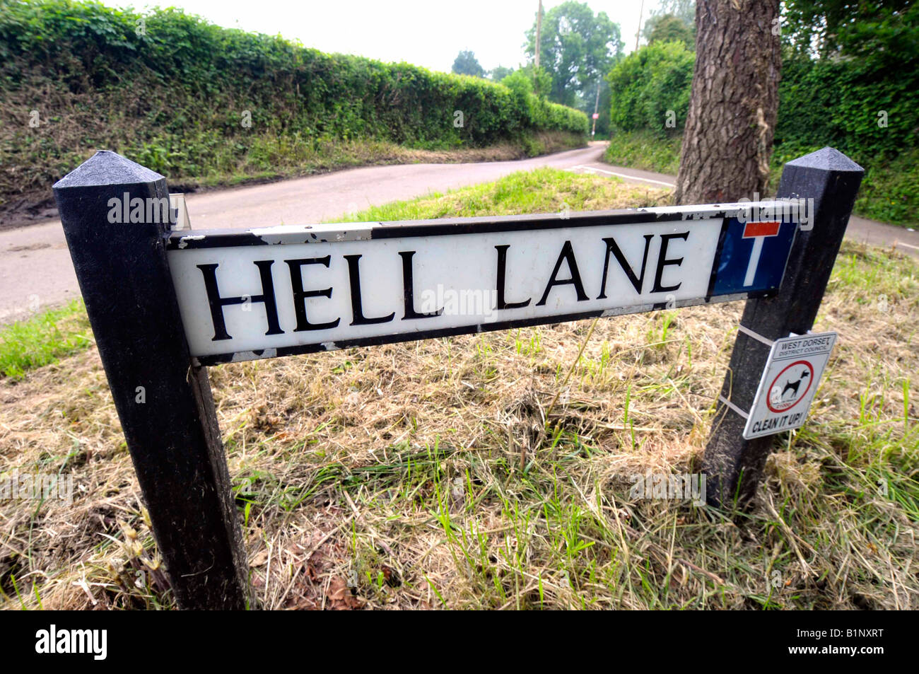 Hölle Lane in das Dorf Chideock, Dorset, England, UK Stockfoto
