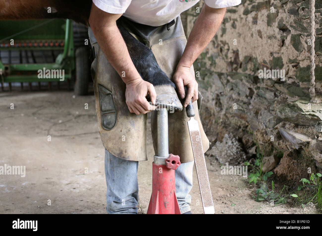 Mann arbeitet auf Pferd HUF Stockfoto