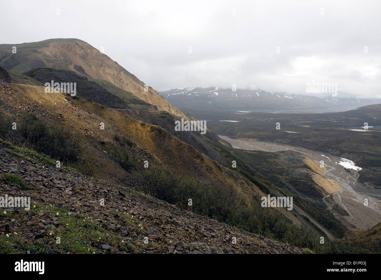 Polychrome Pass, Denali National Park, Alaska, USA Stockfoto