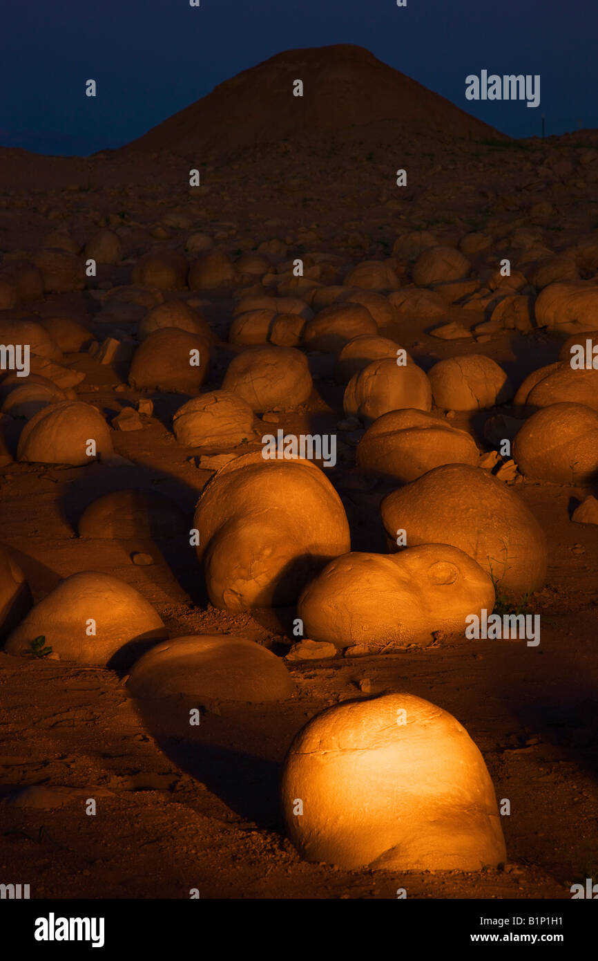 Pumpkin Patch in der Nacht beleuchtet von Taschenlampe Anza Borrego Desert State Park California Stockfoto