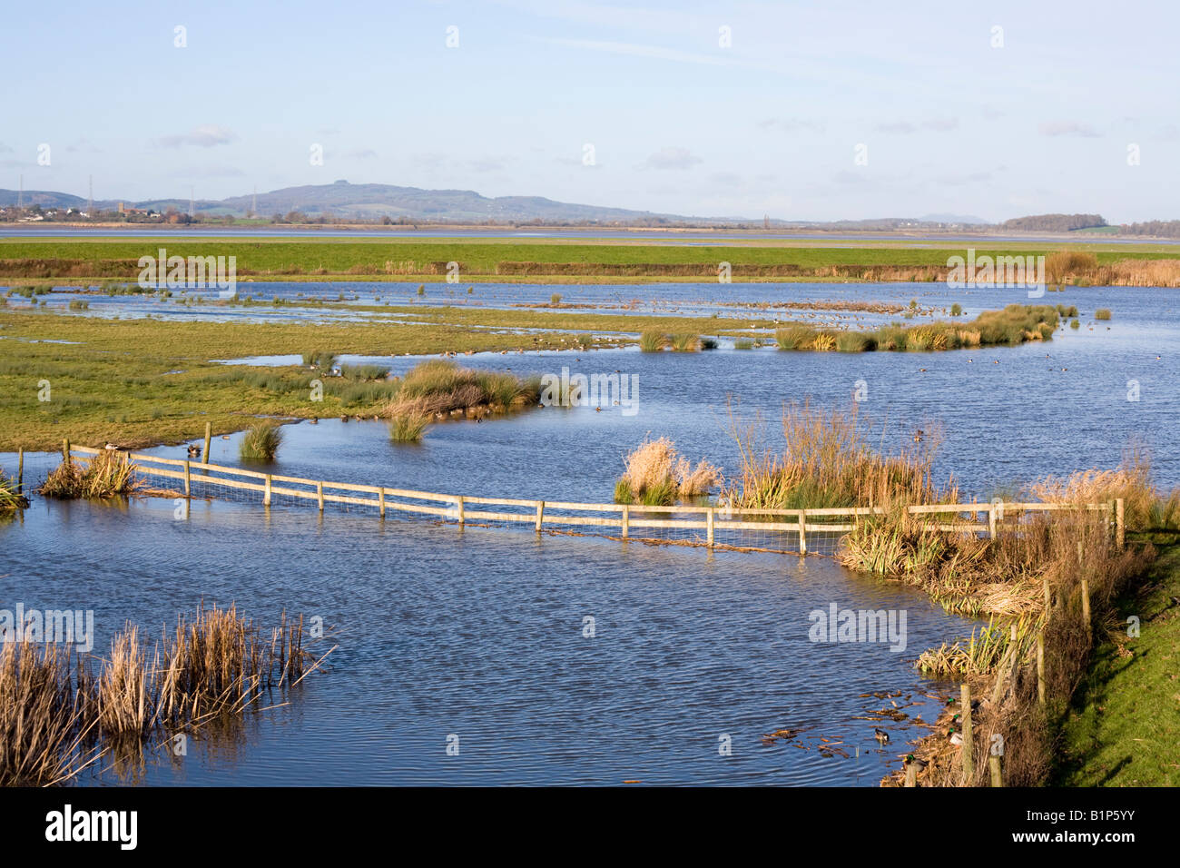 Aussehende Norden über Dumbles gegenüber Mai Hill von Federwild & Wetlands Trust Slimbridge Wetland Centre, Gloucestershire Stockfoto