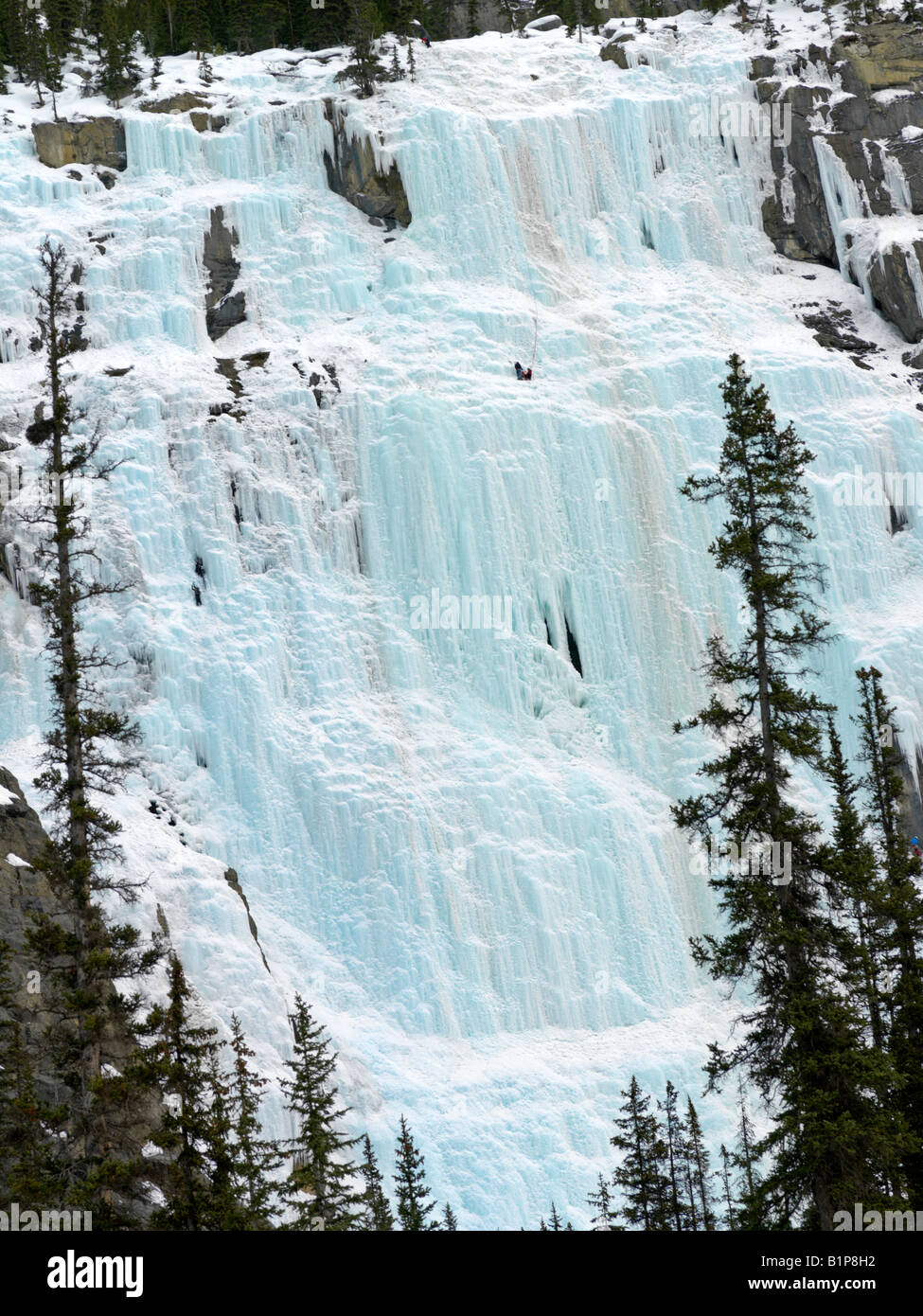 Kanada Alberta Banff Banff Nationalpark Weeping Wall Wasser Einfrieren über einem Kalksteinfelsen Stockfoto