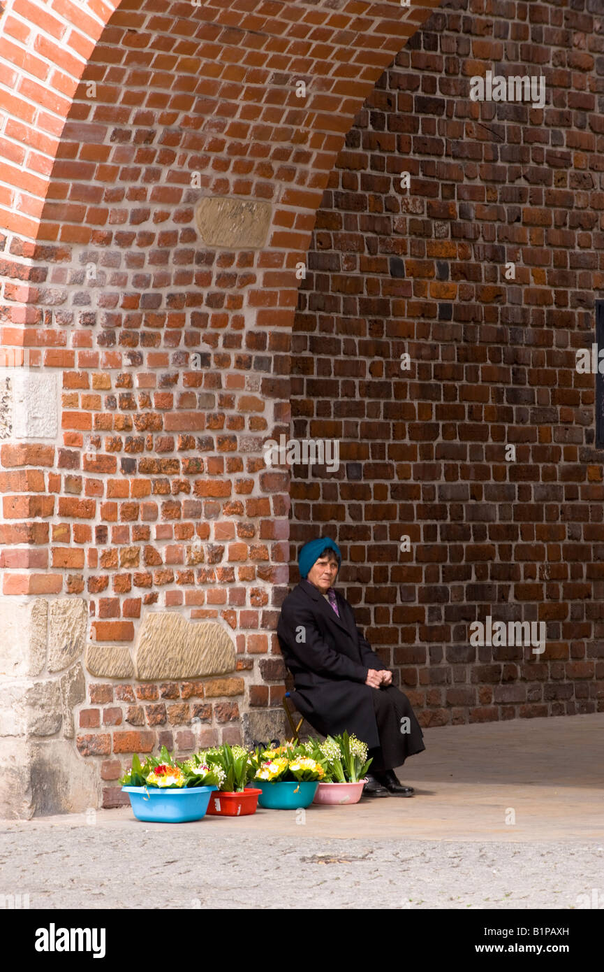 Ältere Frau Verkauf von Blumen durch Krakowska Tor alte Stadt Lublin Polen Stockfoto