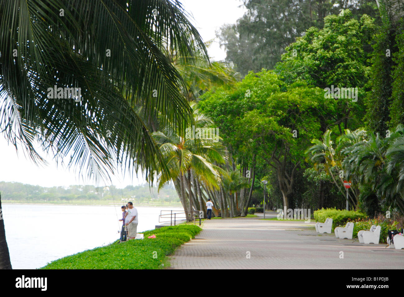 Männer Angeln im Waterfront Park, Singapur Stockfoto