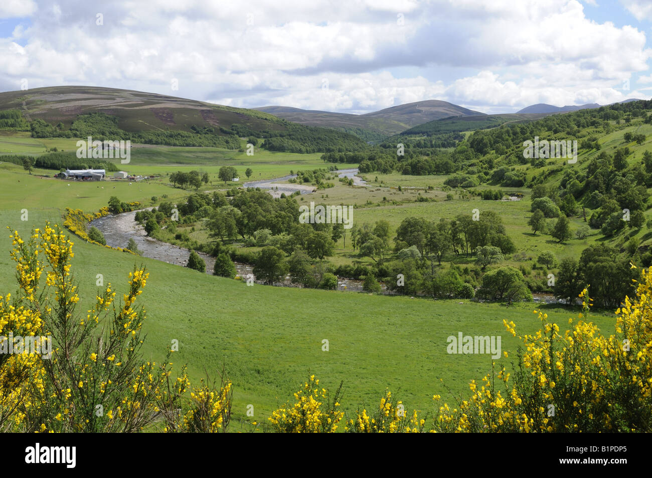 Fluß Avon fließt nach unten aus den Cairngorm Mountains an Tomintoul Banffshire Stockfoto