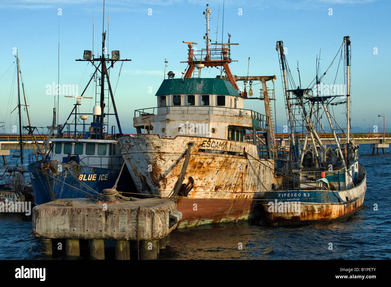 "Rustys Fischereiflotte von San Carlos Mexiko." Stockfoto