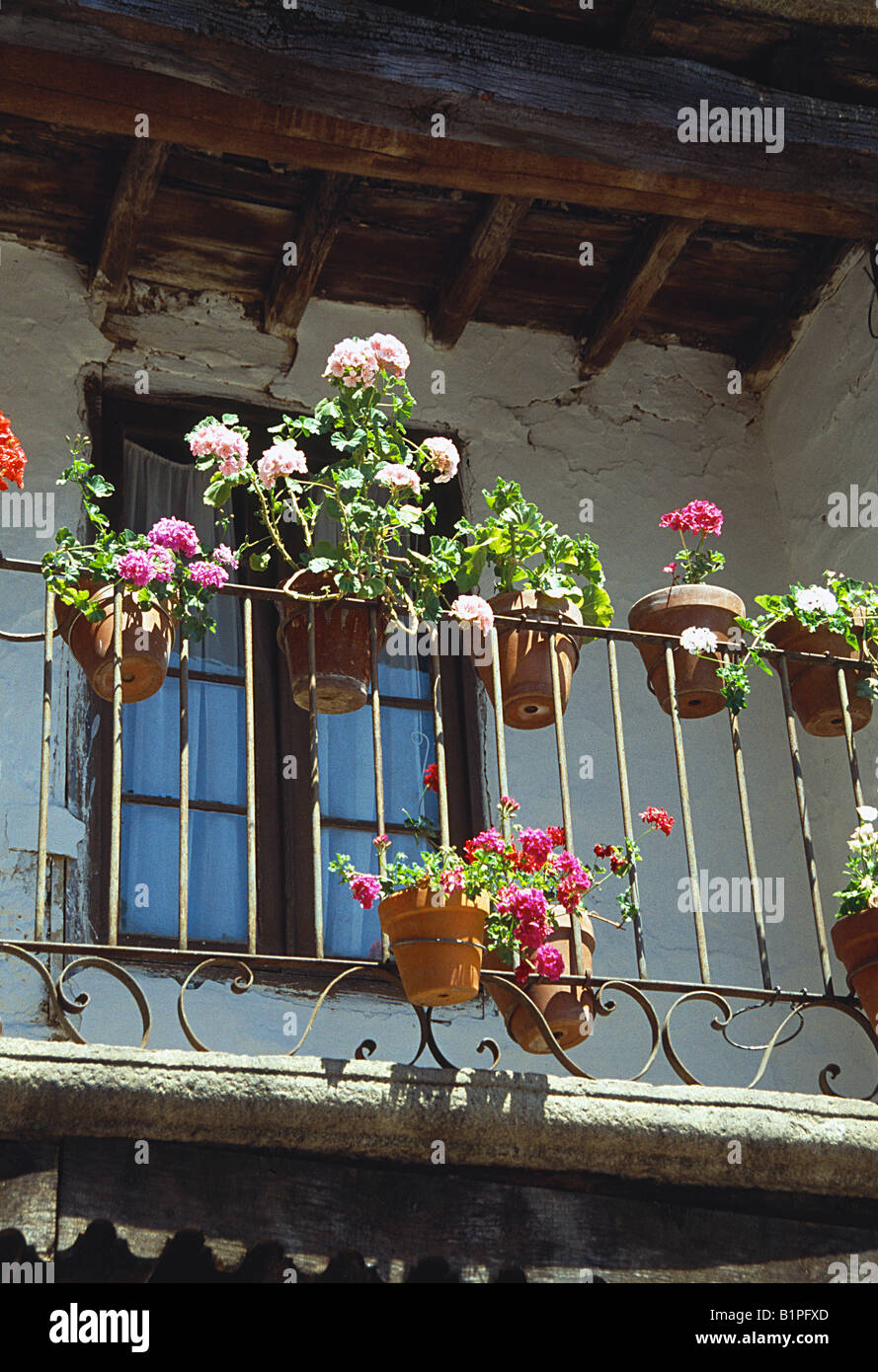 Detail der Balkon mit Blumen. La Alberca. Provinz Salamanca. Kastilien-León. Spanien. Stockfoto