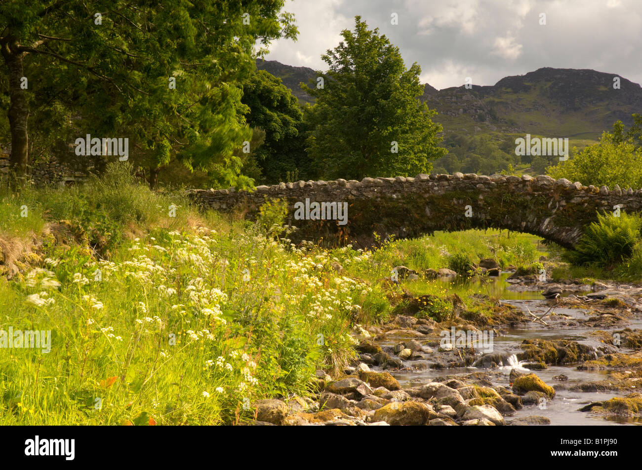 Die alte Lastesel-Brücke bei Watendlath Tarn Keswick Cumbria UK Stockfoto