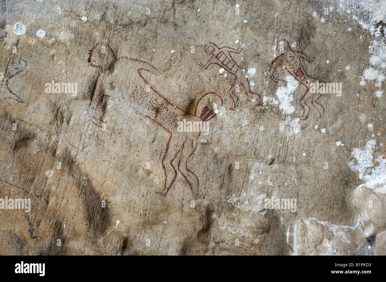 Prähistorische Höhlenzeichnungen auf dem Gipfel des Khao Pla Ra in Uthai Thani Thailand Stockfoto