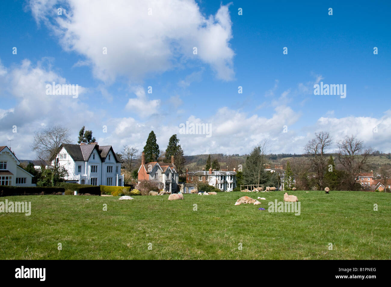 Viktorianische Häuser in Rose Hill, Dorking, Surrey, England Stockfoto