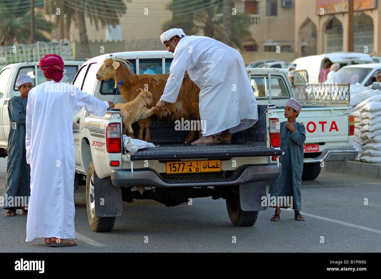 Transport von Ziegen, die Ziege zu vermarkten, Nizwa, Sultanat von Oman Stockfoto