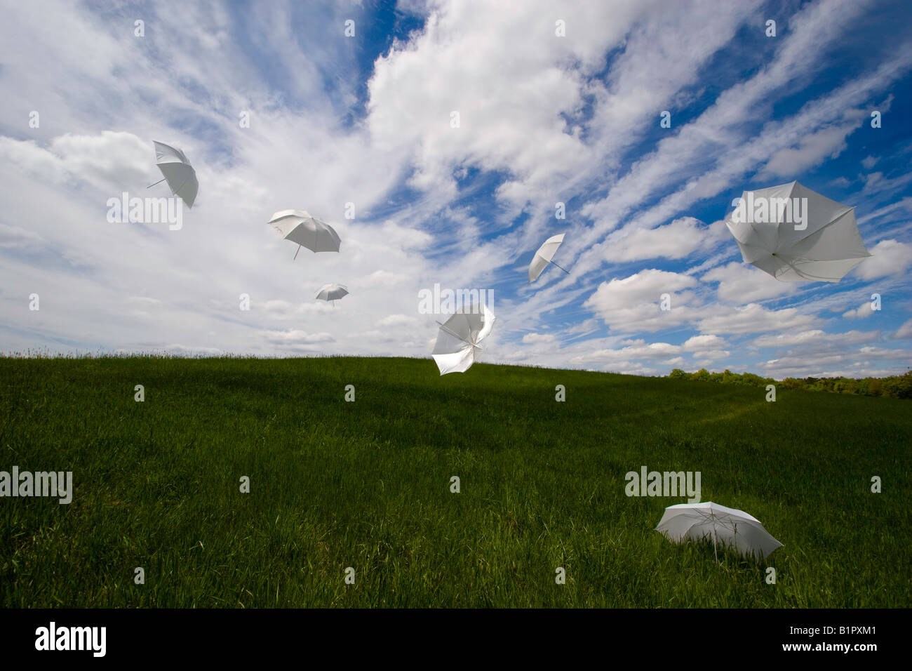 Schirme fliegen durch Wiese Stockfoto