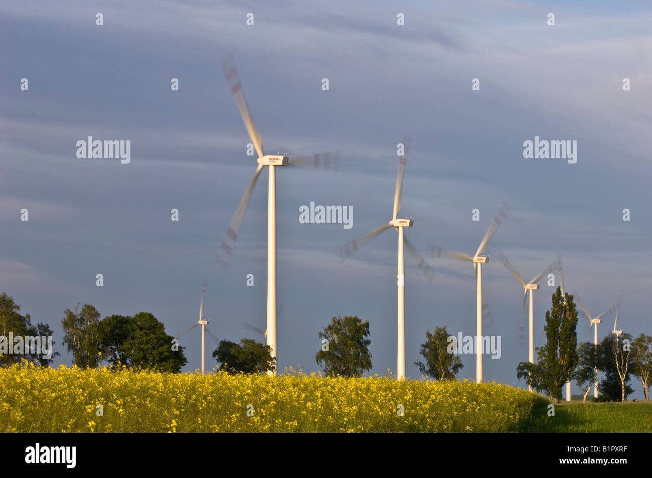 Windpark in ländlichen Landschaft in der Nähe von Stettin Polen Stockfoto
