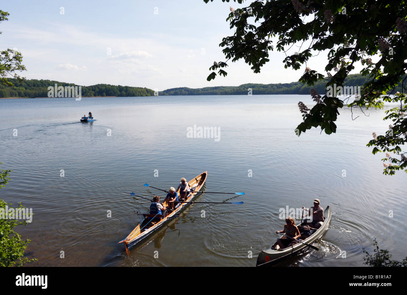 Rudern und Kanufahren auf dem Ratzeburger See Stockfoto