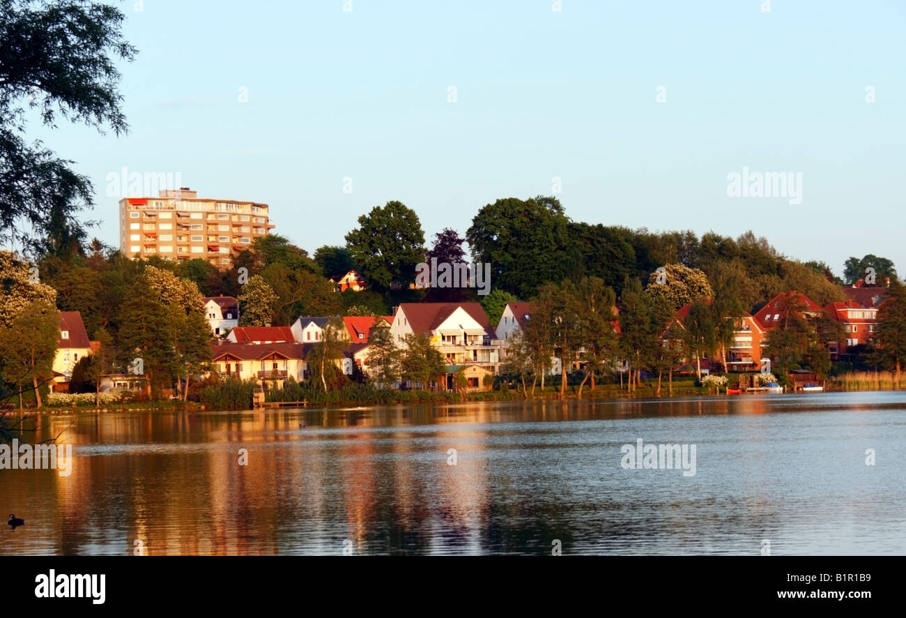 Ufer des Ratzeburger See in der Abendsonne Stockfoto