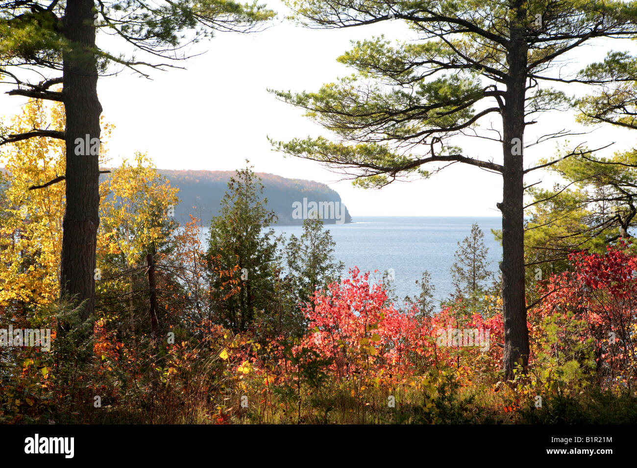 BLICK AUF LAKE MICHIGAN SHORE AUS EINEM WALD IN ELLISON BAY DOOR COUNTY, WISCONSIN USA Stockfoto