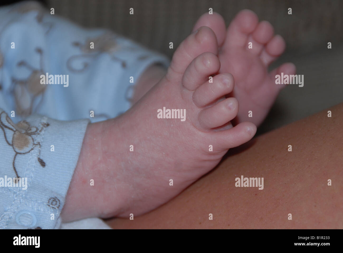 Ein neugeborenes Baby Füße. Stockfoto