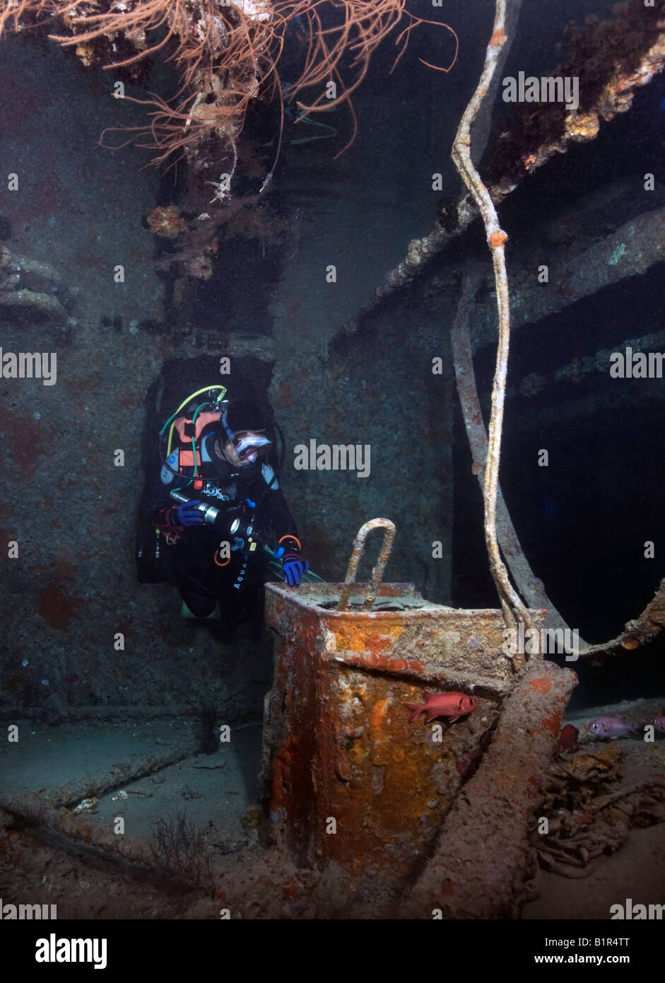 Eine Taucher untersucht das Wrack im Roten Meer WW2 SS Thistlegorm Schiffbruch. Stockfoto