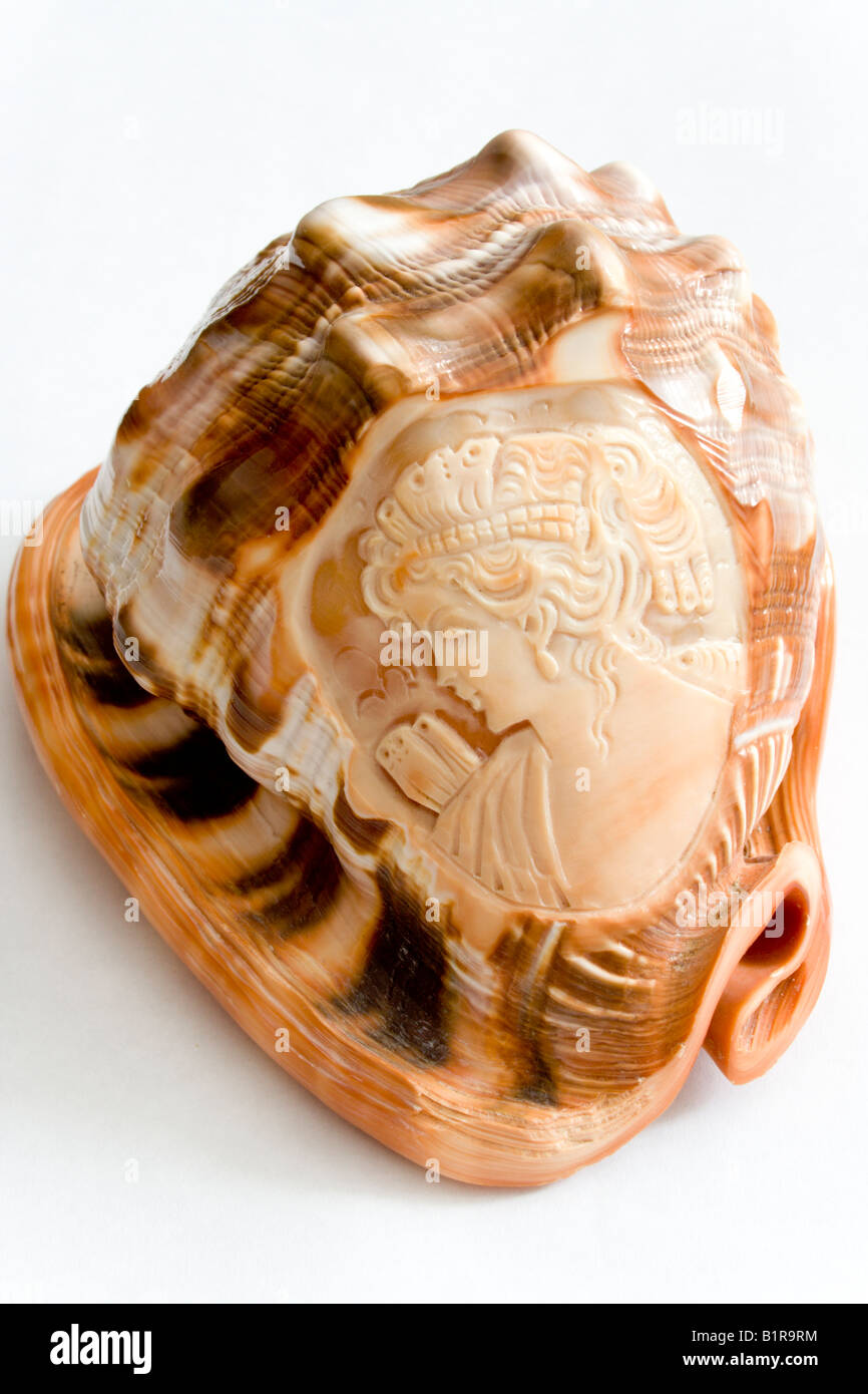 Herzmuschel-Shell mit eingeritzten antiken Gesicht Stockfoto