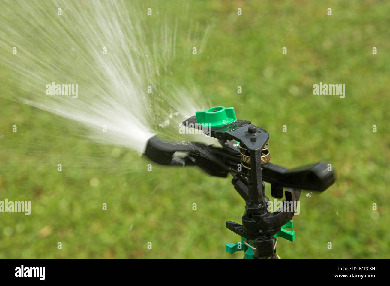 Rainbird Wasser Sprinkler in Aktion Bewässerung Stockfoto