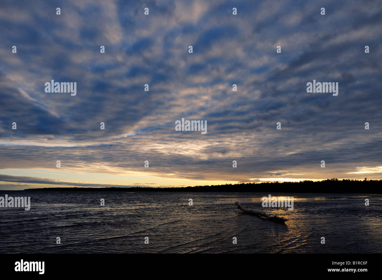 Melden Sie sich am flachen Strand des Singing Sands Provincial Park bei Sonnenuntergang Lake Huron Bruce Peninsula Ontario Kanada Stockfoto