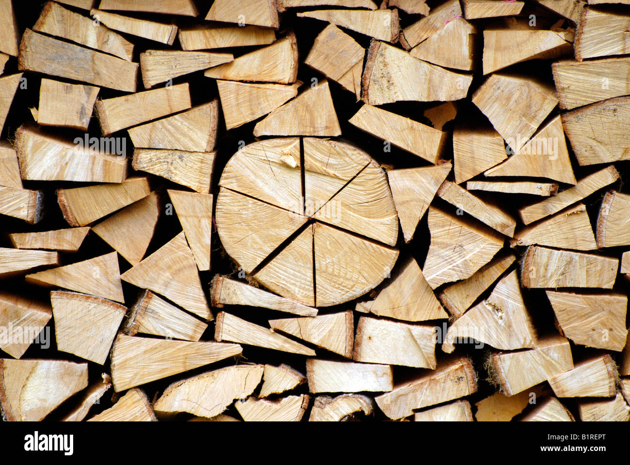 Buchenholz, Brennholz gestapelt Holzstapel Stockfoto