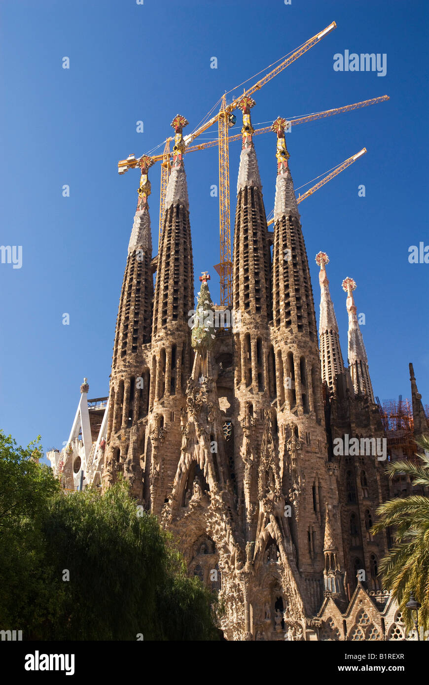 La Sagrada Familia Kirche, entworfen von dem Architekten Antoni Gaudí, Stadtteil Eixample, Barcelona, Spanien, Europa Stockfoto