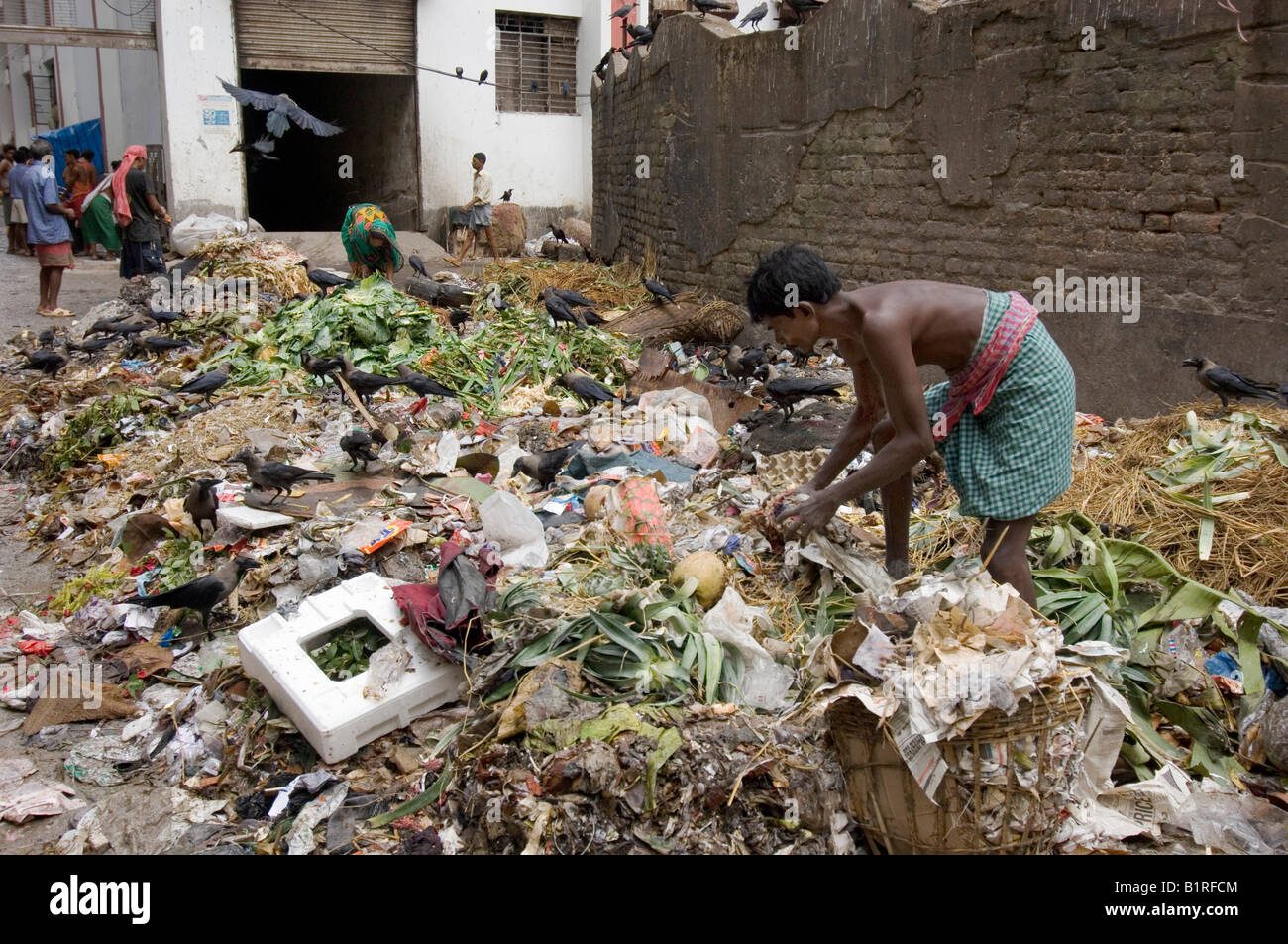 Calcutta Stadtzentrum, Menschen auf Bergung Abfälle, Kolkata, Westbengalen, Indien, Asien Stockfoto