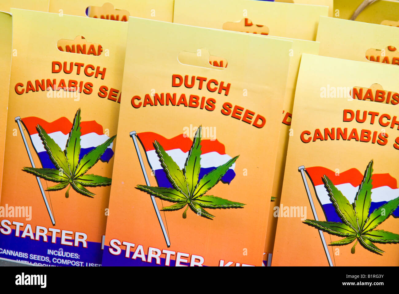 Starterkit Cannabis, Marihuana-Zucht, schwimmende Blumenmarkt, Singelgracht, Amsterdam, Niederlande, Europa Stockfoto