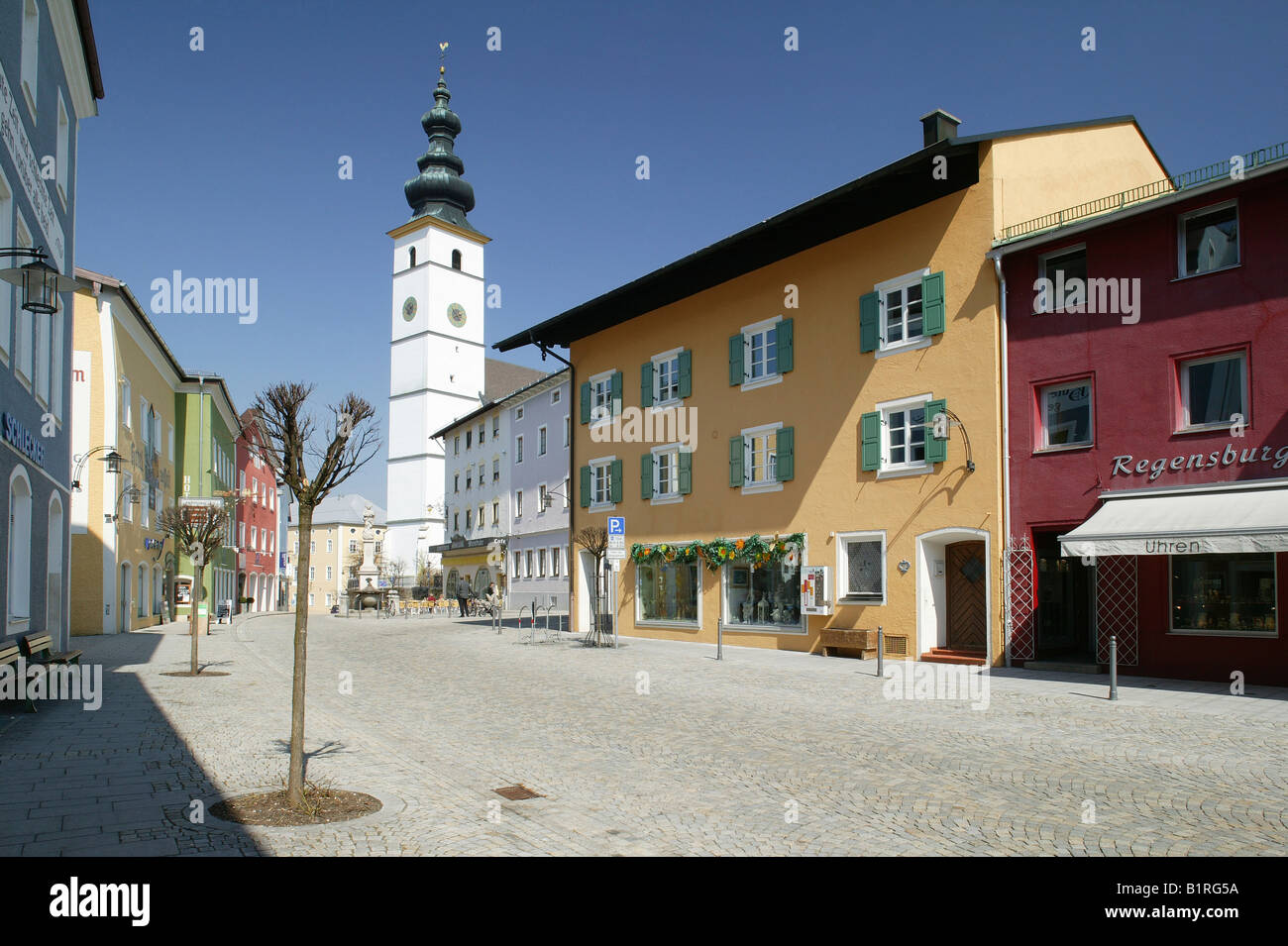 Bin Waging See, Landkreis Traunstein, Oberbayern, Deutschland, Europa Stockfoto