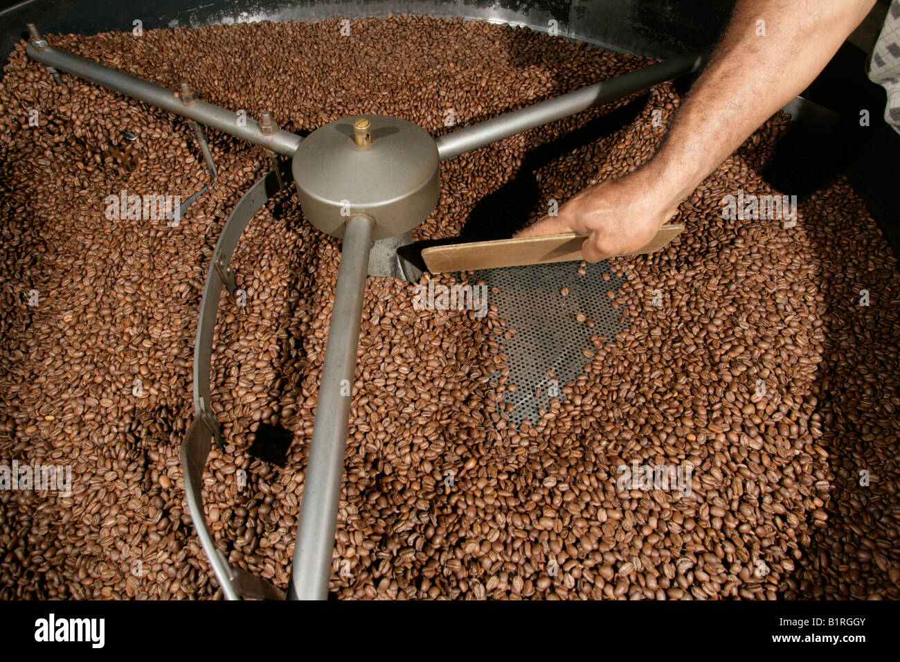 Hochlandkaffee Stockfotos Und Bilder Kaufen Alamy