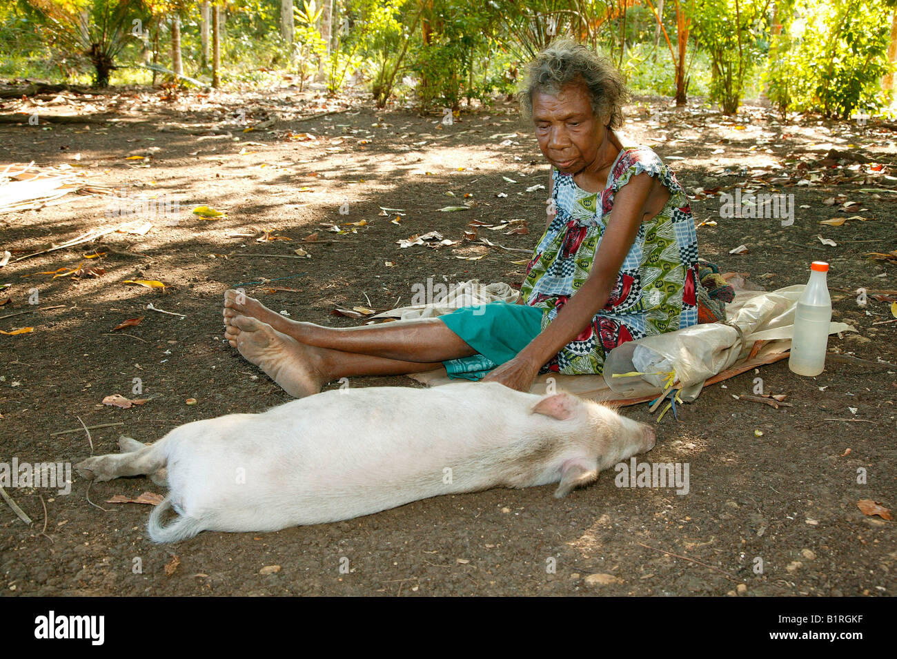 Alte Frau mit einem Haus-Schwein, Statussymbol in Papua-Neu-Guinea, Heldsbach, Papua-Neu-Guinea, Melanesien Stockfoto