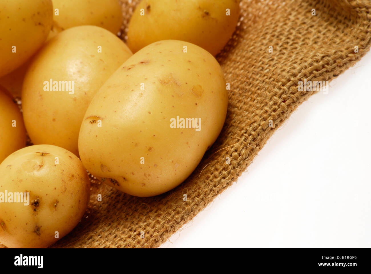 Rohe Kartoffeln auf Sackleinen oder Sackleinen meschotschek gelegt Stockfoto