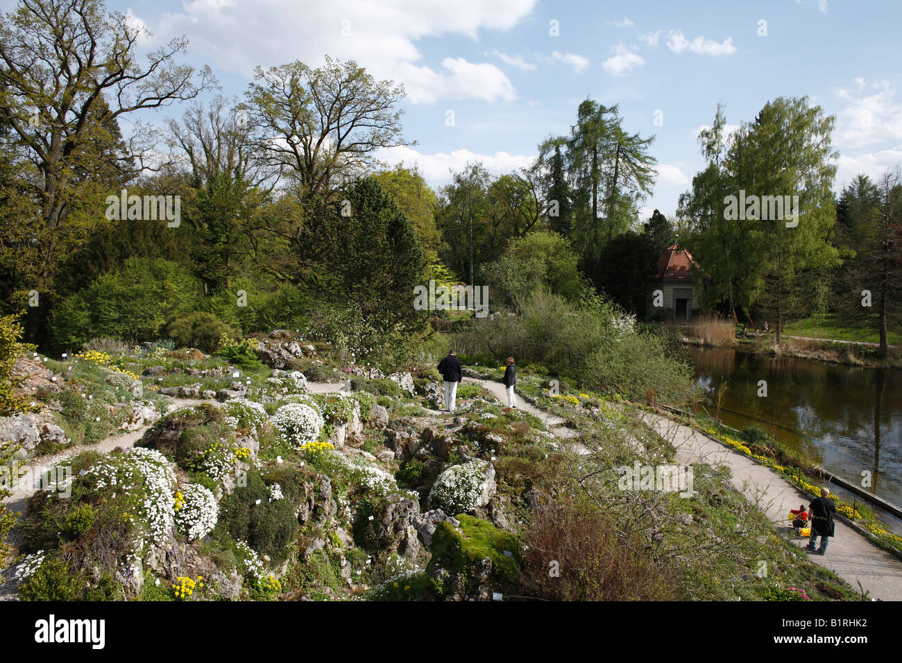 Alpengarten, Frühling, Botanischer Garten, München, Oberbayern, Deutschland, Europa Stockfoto