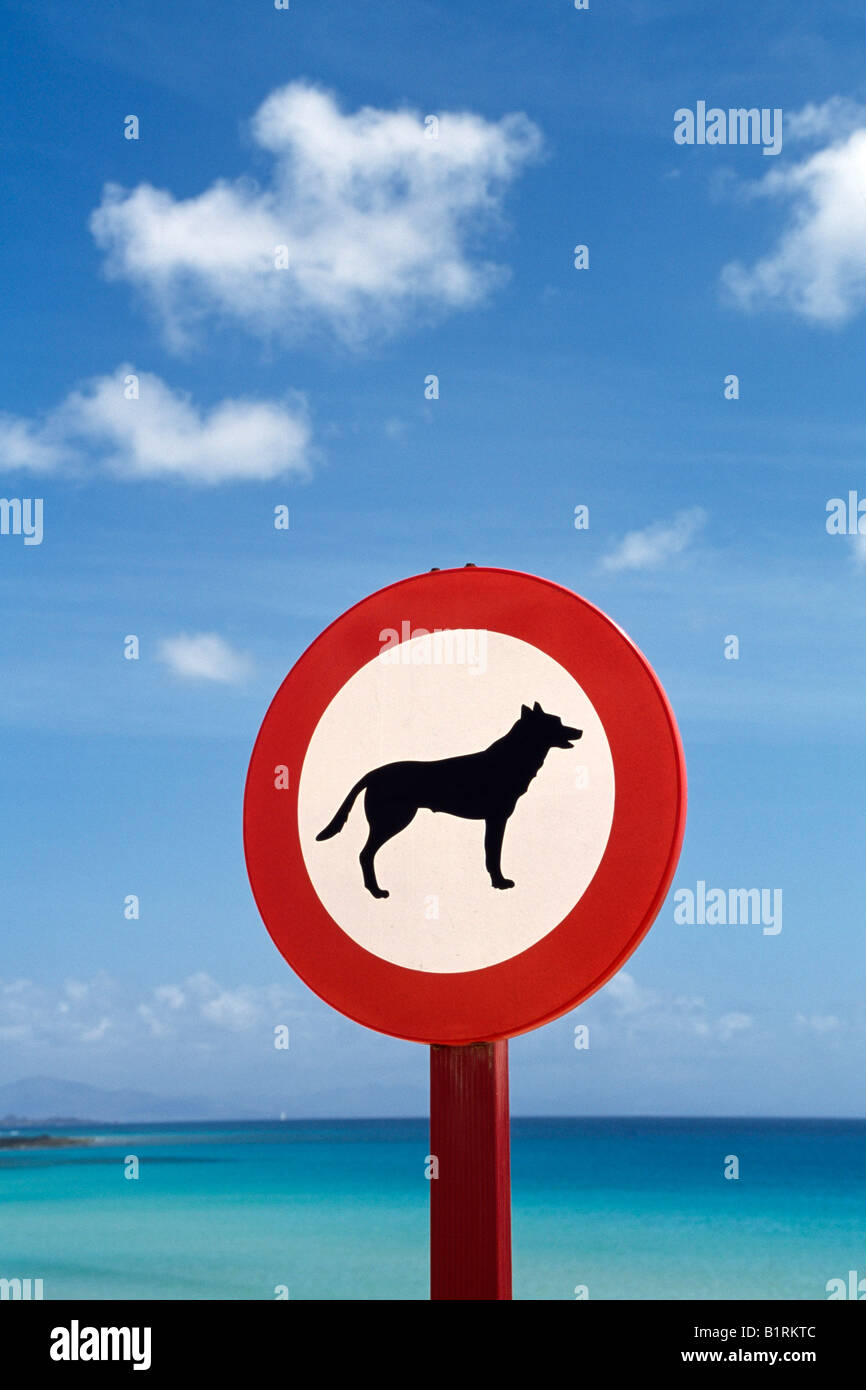 Hund-Verbotszeichen, Playa de Sotavento, Jandia, Fuerteventura, Spanien Stockfoto