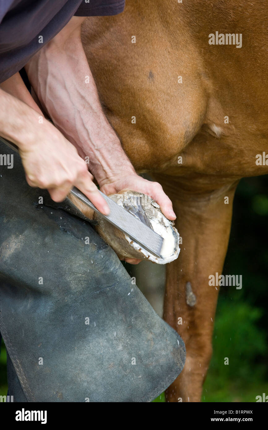 Schmied Shoding ein Pferd, Einreichung der Huf, Nord-Tirol, Österreich, Europa Stockfoto