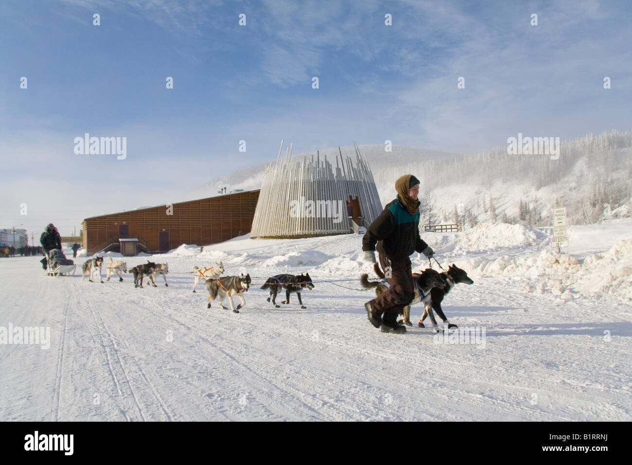 Yukon Quest Schlittenhunderennen, Hausmeister Führung Hund Team, Dawson City, Yukon Territorium, Kanada, Nordamerika Stockfoto