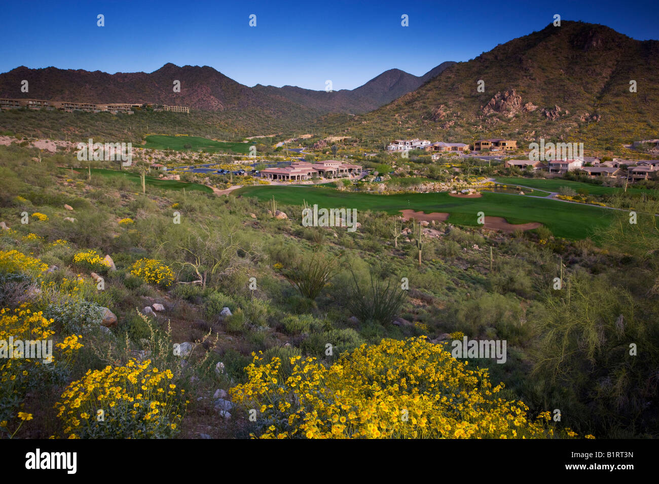 Sunridge Canyon Golf Course Fountain Hills außerhalb von Phoenix Arizona Stockfoto