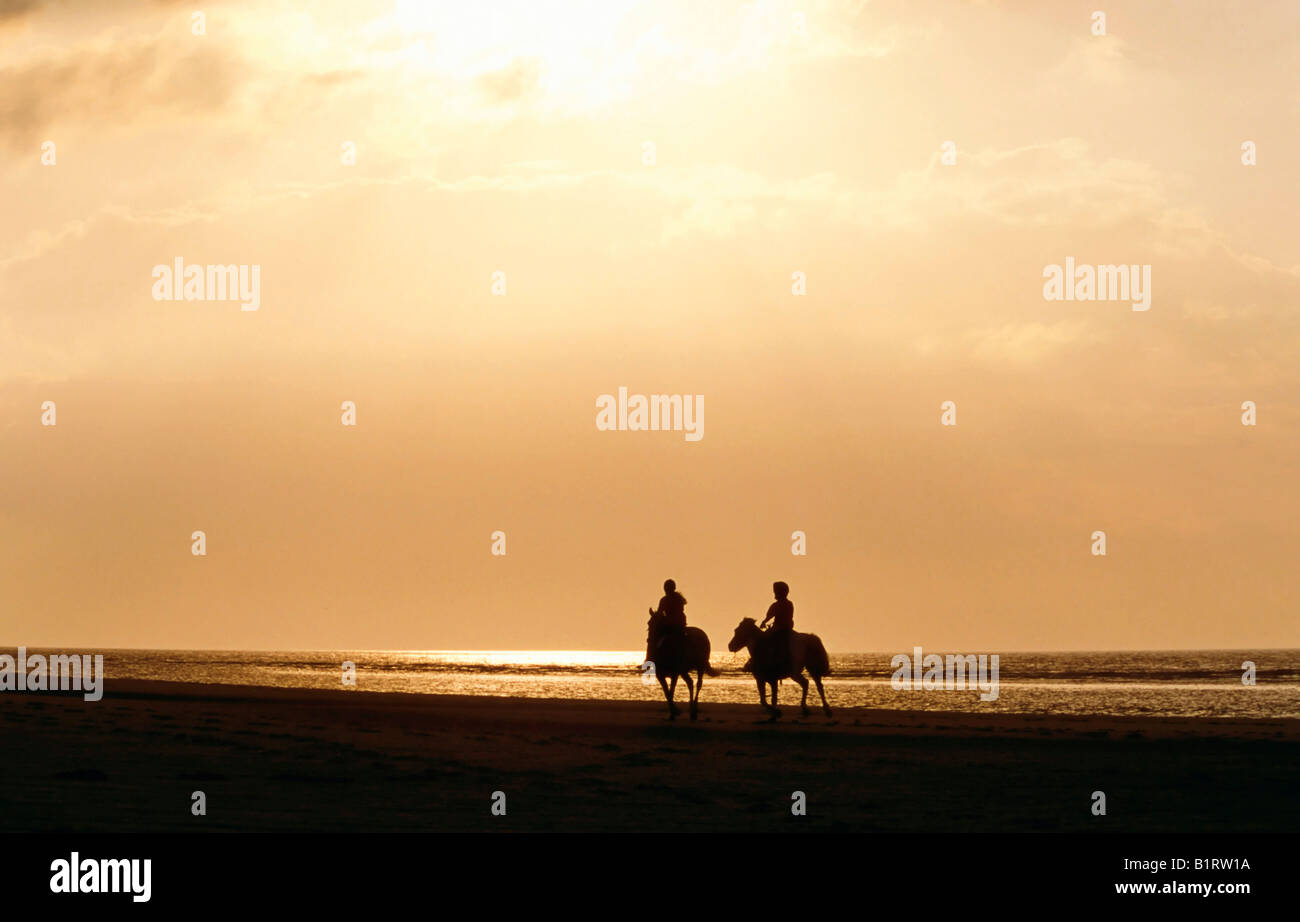 Zwei Reiter Reiten am Strand entlang, Insel Norderney, Ostfriesland oder Eastern Friesland Inseln, Nordsee Stockfoto