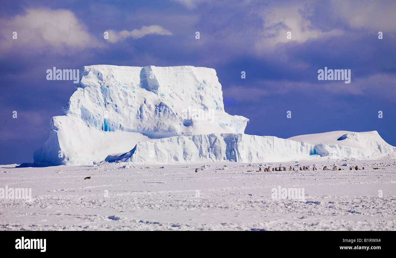 Großen Eisbergs vor Kap Washington mit einem Kaiser-Pinguin-Kolonie (Aptenodytes Forsteri), Antarktis Stockfoto