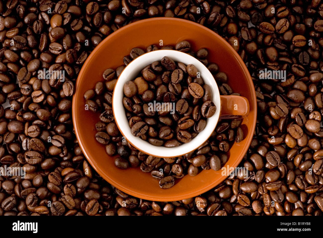 Espressotasse mit Kaffeebohnen gefüllt Stockfoto