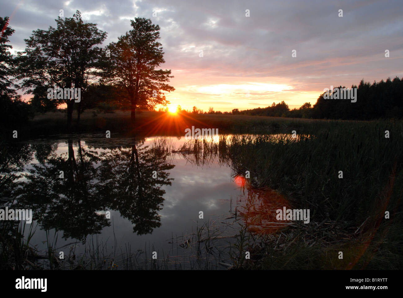 Wolke und himmel Ausgeschnittene Stockfotos und -bilder - Alamy
