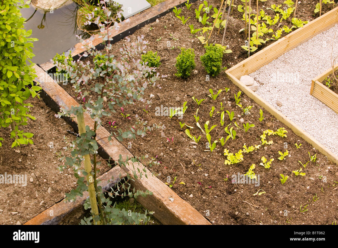 Hochbeeten zum Anbau von Gemüse im Garten Stockfoto
