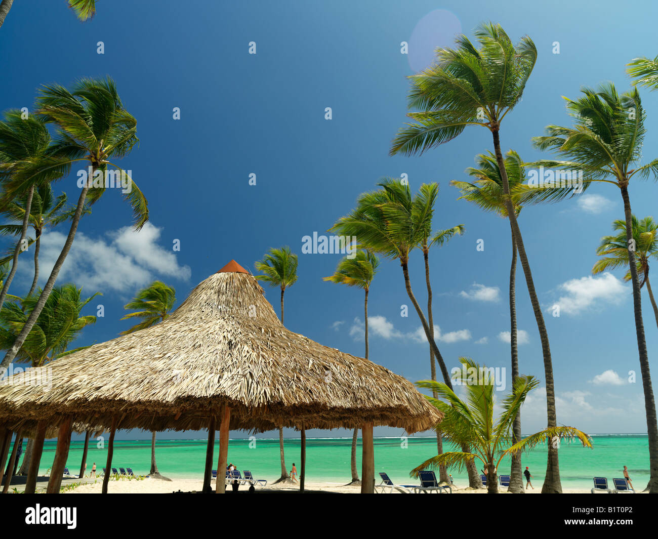 Dominikanische Republik Punta Cana Bavaro Strand Palmen und Palapa am weißen Sandstrand mit Blick aufs Meer Stockfoto