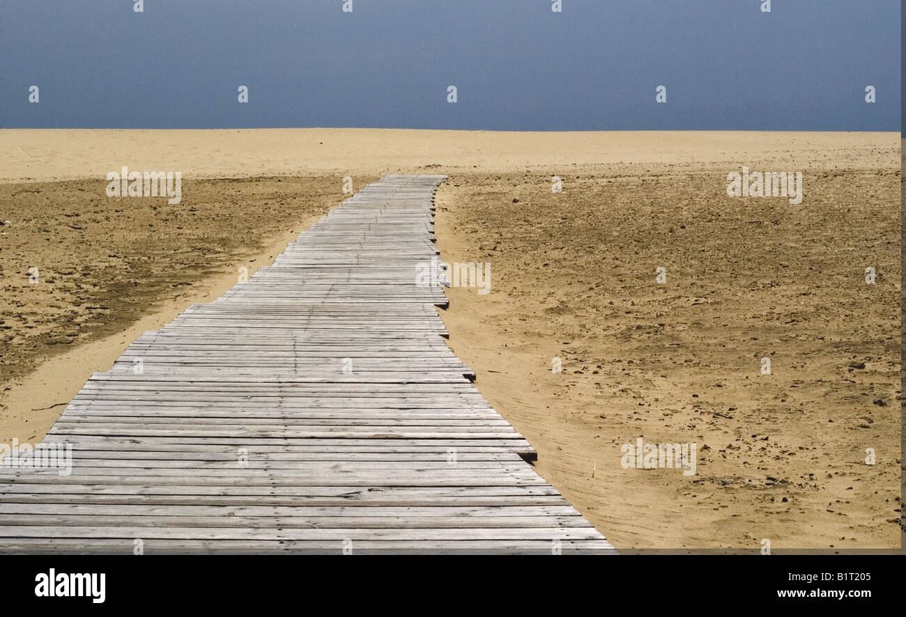 Waldweg auf Baia Chia am Meer Stockfoto