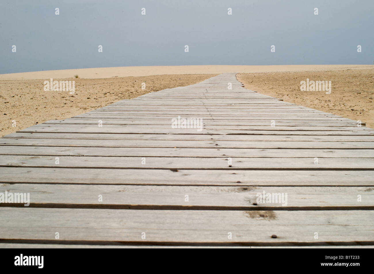 Waldweg auf Baia Chia am Meer Stockfoto