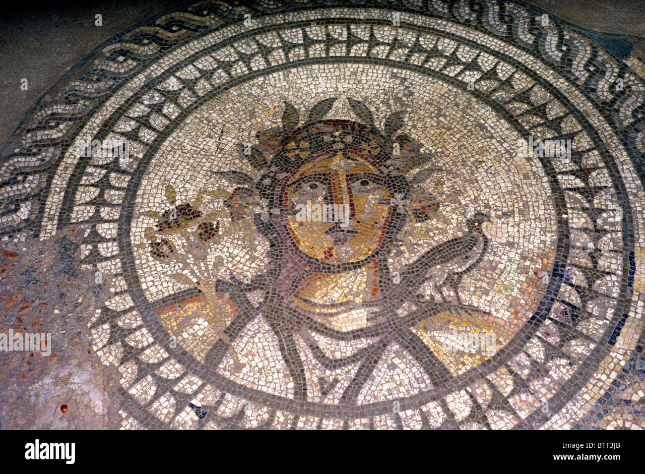 Römisches Mosaik Britanniens Museum Cirencester Mosaiksteine England Gloucestershire UK Estrich Großbritannien Stockfoto