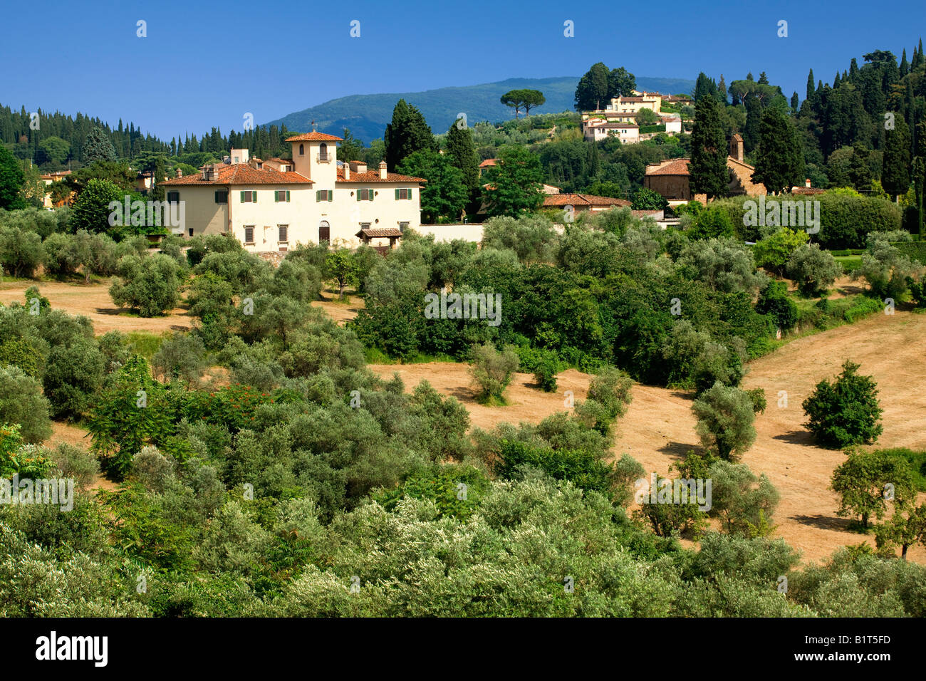 Toskanische Landschaft in der Nähe von Florenz Stockfoto